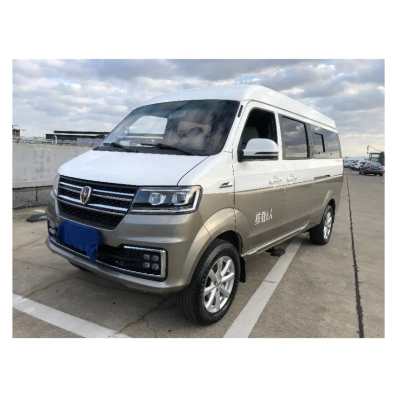 Best Selling SRM Mini Camper Van Cheap Cargo Vans Business Van for Sale